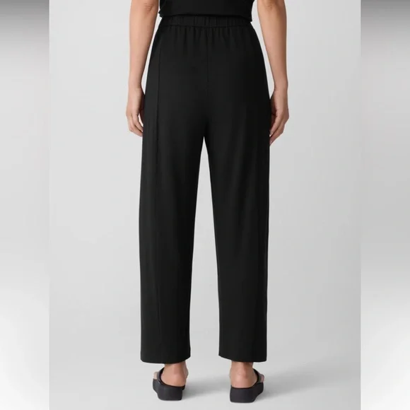 NWT Eileen Fisher Stretch Jersey Knit Pleated Straight Pant - Picture 4 of 8